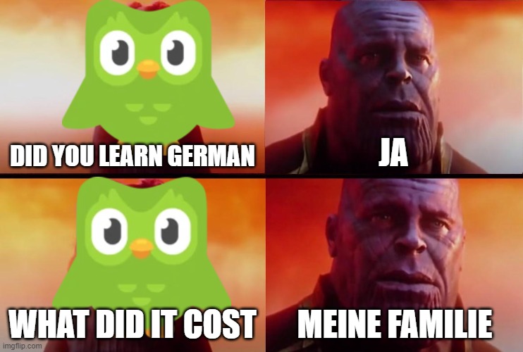 random thing that deserves to be a title | DID YOU LEARN GERMAN; JA; WHAT DID IT COST; MEINE FAMILIE | image tagged in thanos what did it cost,duolingo,duolingo bird,german | made w/ Imgflip meme maker