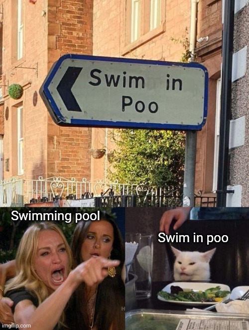 Swimming pool | Swimming pool; Swim in poo | image tagged in memes,woman yelling at cat,funny,swimming pool,vandalism,oh wow are you actually reading these tags | made w/ Imgflip meme maker