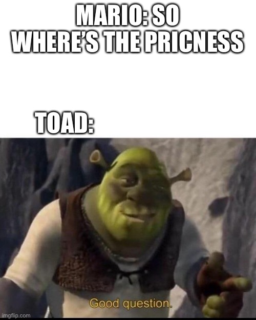 Shrek | MARIO: SO WHERE’S THE PRICNESS; TOAD: | image tagged in shrek,mario | made w/ Imgflip meme maker