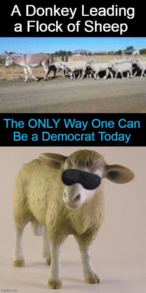 You Have to be Deaf, Blind or Politically & Willfully Ignorant | A Donkey Leading a Flock of Sheep; The ONLY Way One Can 
Be a Democrat Today | image tagged in politics,democrats,ignorant,sheep,democratic socialism,open borders | made w/ Imgflip meme maker