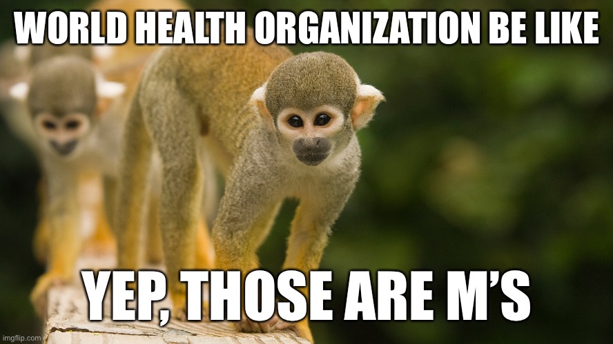 Mpox (formerly monkeypox) | WORLD HEALTH ORGANIZATION BE LIKE; YEP, THOSE ARE M’S | image tagged in memes,who,monkey,where monkey,m,world | made w/ Imgflip meme maker