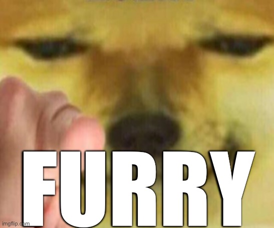 Pointing Doge | FURRY | image tagged in pointing doge | made w/ Imgflip meme maker