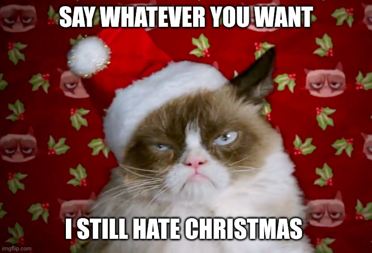 Grumpy cat Xmas | SAY WHATEVER YOU WANT; I STILL HATE CHRISTMAS | image tagged in grumpy cat xmas | made w/ Imgflip meme maker