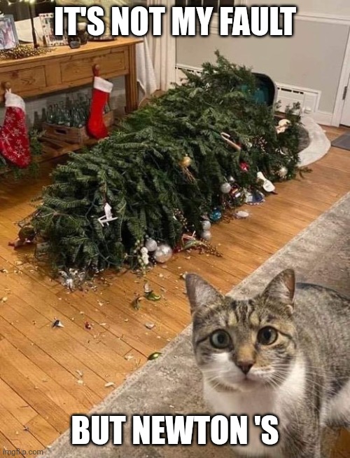 christmas cat | IT'S NOT MY FAULT; BUT NEWTON 'S | image tagged in christmas cat | made w/ Imgflip meme maker