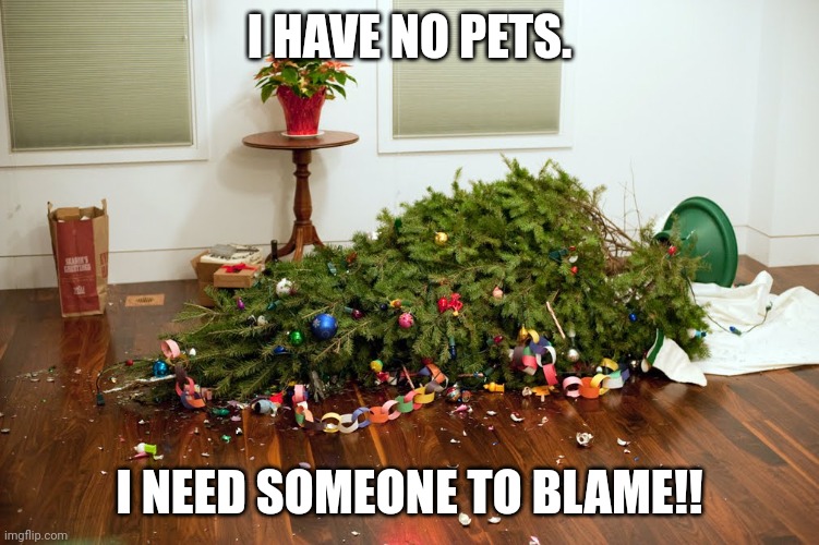 Fallen Xmas Tree | I HAVE NO PETS. I NEED SOMEONE TO BLAME!! | image tagged in fallen xmas tree | made w/ Imgflip meme maker