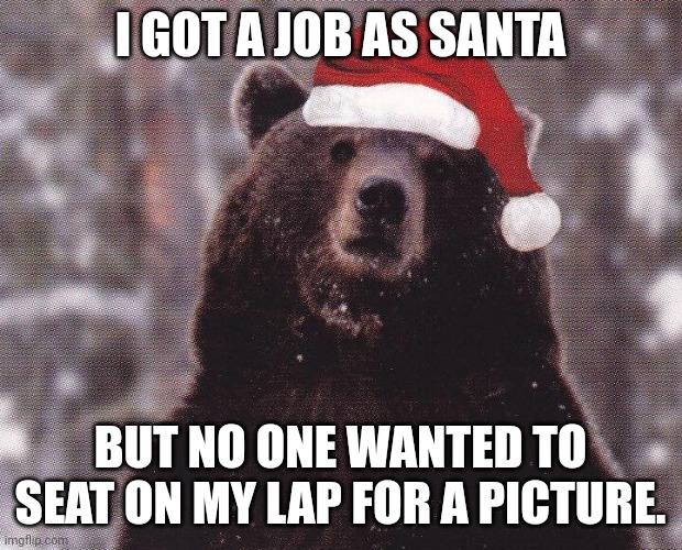 xmaas bear | I GOT A JOB AS SANTA; BUT NO ONE WANTED TO SEAT ON MY LAP FOR A PICTURE. | image tagged in xmaas bear | made w/ Imgflip meme maker