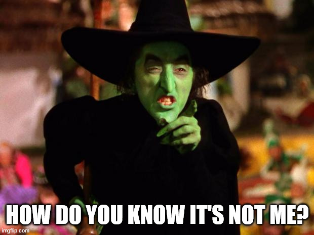 wicked witch  | HOW DO YOU KNOW IT'S NOT ME? | image tagged in wicked witch | made w/ Imgflip meme maker