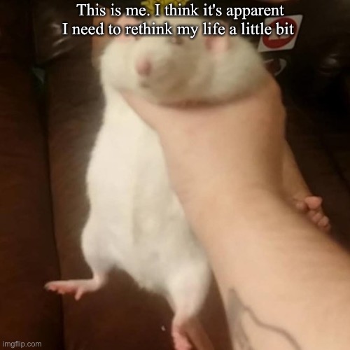 Grabbing a fat rat | This is me. I think it's apparent I need to rethink my life a little bit | image tagged in grabbing a fat rat | made w/ Imgflip meme maker