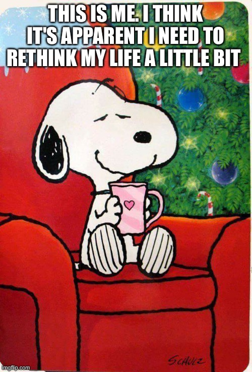 Snoopy Christmas | THIS IS ME. I THINK IT'S APPARENT I NEED TO RETHINK MY LIFE A LITTLE BIT | image tagged in snoopy christmas,snoopy,peanuts,christmas | made w/ Imgflip meme maker