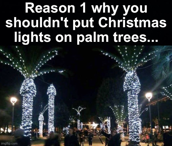 You've got a filthy mind. It's because it looks like a water fountain | Reason 1 why you shouldn't put Christmas lights on palm trees... | image tagged in memes,unfunny | made w/ Imgflip meme maker