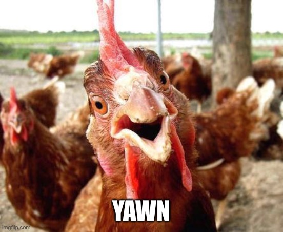 Chicken | YAWN | image tagged in chicken | made w/ Imgflip meme maker