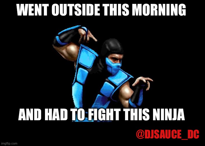Subzero | WENT OUTSIDE THIS MORNING; AND HAD TO FIGHT THIS NINJA; @DJSAUCE_DC | image tagged in subzero | made w/ Imgflip meme maker