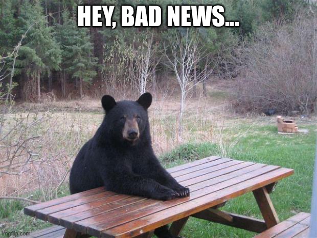 Bear of bad news | HEY, BAD NEWS... | image tagged in bear of bad news | made w/ Imgflip meme maker
