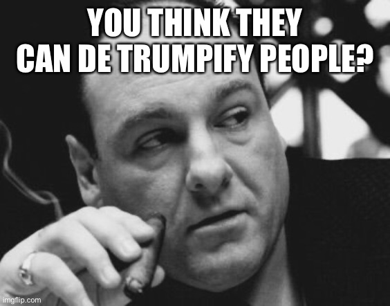 Tony Soprano Admin Gangster | YOU THINK THEY CAN DE TRUMPIFY PEOPLE? | image tagged in tony soprano admin gangster | made w/ Imgflip meme maker