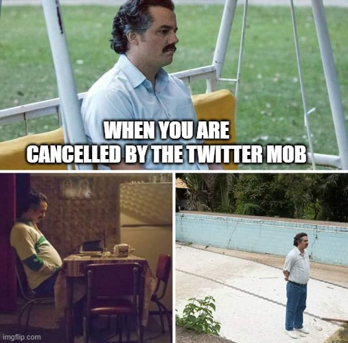 Twitter is the root of all evil | WHEN YOU ARE CANCELLED BY THE TWITTER MOB | image tagged in memes,sad pablo escobar | made w/ Imgflip meme maker