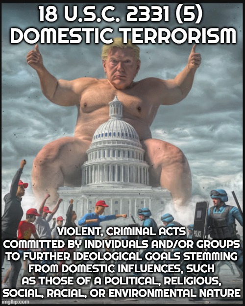 18 U.S.C. 2331 (5) - DOMESTIC TERRORISM | 18 U.S.C. 2331 (5)
 DOMESTIC TERRORISM; VIOLENT, CRIMINAL ACTS COMMITTED BY INDIVIDUALS AND/OR GROUPS TO FURTHER IDEOLOGICAL GOALS STEMMING FROM DOMESTIC INFLUENCES, SUCH AS THOSE OF A POLITICAL, RELIGIOUS, SOCIAL, RACIAL, OR ENVIRONMENTAL NATURE | image tagged in domestic terrorism,political,ideological,violent,mass destruction,kidnapping | made w/ Imgflip meme maker