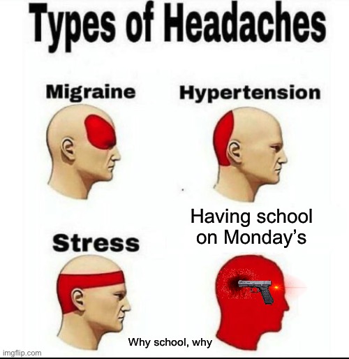 Types of Headaches meme | Having school on Monday’s; Why school, why | image tagged in types of headaches meme | made w/ Imgflip meme maker