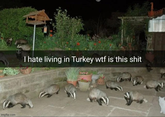 If you were born in the west, but have the Balkan mindset, what are you | made w/ Imgflip meme maker