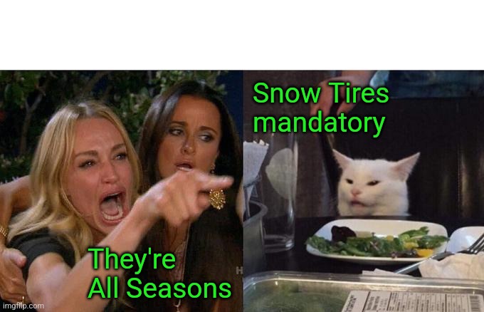 My city right now. | Snow Tires mandatory; They're All Seasons | image tagged in woman yelling at cat,snow day,snow storm | made w/ Imgflip meme maker