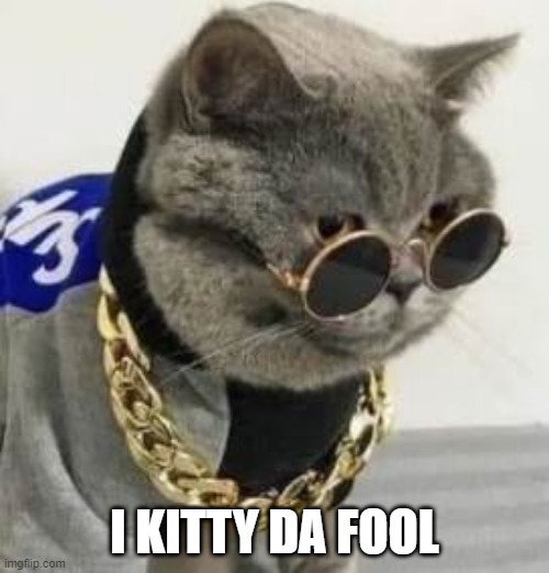 kitty T | I KITTY DA FOOL | image tagged in mr t,bling,cat,pity | made w/ Imgflip meme maker