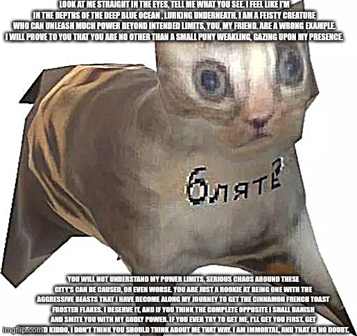 godly cat's presence. | LOOK AT ME STRAIGHT IN THE EYES, TELL ME WHAT YOU SEE. I FEEL LIKE I'M IN THE DEPTHS OF THE DEEP BLUE OCEAN , LURKING UNDERNEATH. I AM A FEISTY CREATURE WHO CAN UNLEASH MUCH POWER BEYOND INTENDED LIMITS, YOU, MY FRIEND. ARE A WRONG EXAMPLE. I WILL PROVE TO YOU THAT YOU ARE NO OTHER THAN A SMALL PUNY WEAKLING, GAZING UPON MY PRESENCE. YOU WILL NOT UNDERSTAND MY POWER LIMITS, SERIOUS CHAOS AROUND THESE CITY'S CAN BE CAUSED, OR EVEN WORSE. YOU ARE JUST A ROOKIE AT BEING ONE WITH THE AGGRESSIVE BEASTS THAT I HAVE BECOME ALONG MY JOURNEY TO GET THE CINNAMON FRENCH TOAST FROSTED FLAKES. I DESERVE IT, AND IF YOU THINK THE COMPLETE OPPOSITE I SHALL BANISH AND SMITE YOU WITH MY GODLY POWER. IF YOU EVER TRY TO GET ME, I'LL GET YOU FIRST. GET PREPARED KIDDO, I DON'T THINK YOU SHOULD THINK ABOUT ME THAT WAY. I AM IMMORTAL, AND THAT IS NO DOUBT. | image tagged in cat,cats,funny cat,funny animal,famous quotes | made w/ Imgflip meme maker