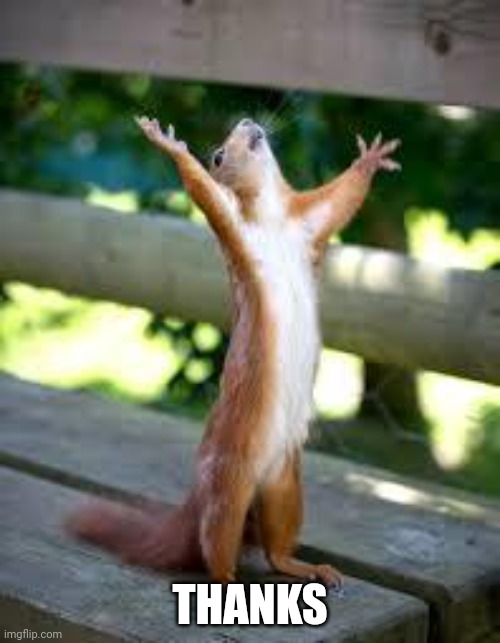 Praise Squirrel | THANKS | image tagged in praise squirrel | made w/ Imgflip meme maker