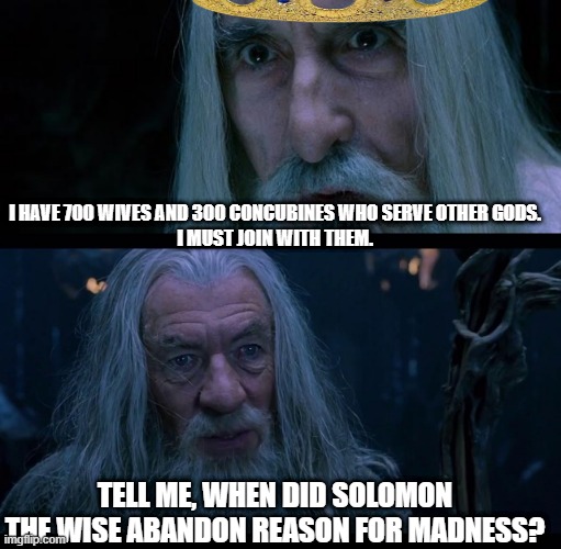 Saruman/Solomon | I HAVE 700 WIVES AND 300 CONCUBINES WHO SERVE OTHER GODS.
I MUST JOIN WITH THEM. TELL ME, WHEN DID SOLOMON THE WISE ABANDON REASON FOR MADNESS? | image tagged in saruman,gandalf madness for reason,lotr,the lord of the rings,lord of the rings,bible | made w/ Imgflip meme maker