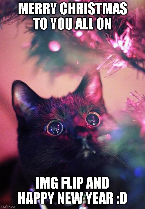 merry Christmas and happy new year | MERRY CHRISTMAS TO YOU ALL ON; IMG FLIP AND HAPPY NEW YEAR :D | image tagged in christmas cat,cat,christmas,new years,cute | made w/ Imgflip meme maker