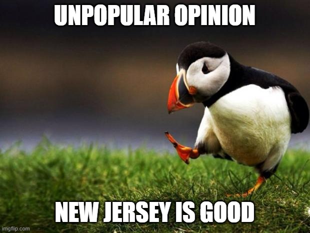 new york is bad | UNPOPULAR OPINION; NEW JERSEY IS GOOD | image tagged in memes,unpopular opinion puffin | made w/ Imgflip meme maker