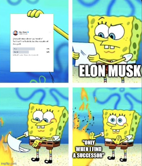 should i step down as head of twitter | ELON MUSK; "ONLY WHEN I FIND A SUCCESSOR" | image tagged in spongebob yeet,elon musk,elon musk buying twitter,twitter,step down,head of twitter | made w/ Imgflip meme maker