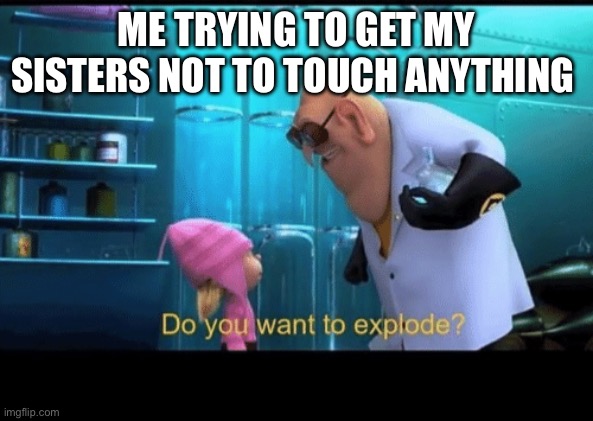 Yes | ME TRYING TO GET MY SISTERS NOT TO TOUCH ANYTHING | image tagged in do you want to explode | made w/ Imgflip meme maker