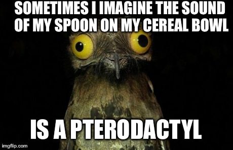 Weird Stuff I Do Potoo Meme | SOMETIMES I IMAGINE THE SOUND OF MY SPOON ON MY CEREAL BOWL IS A PTERODACTYL | image tagged in memes,weird stuff i do potoo | made w/ Imgflip meme maker