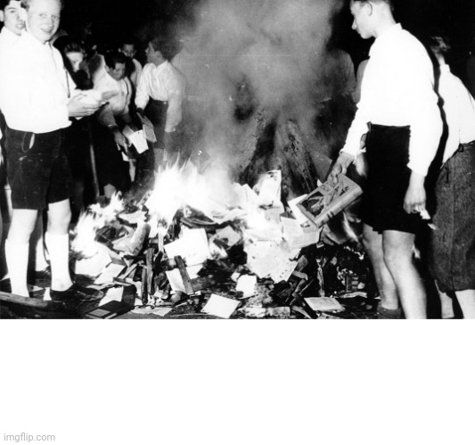Book Burning | image tagged in book burning | made w/ Imgflip meme maker