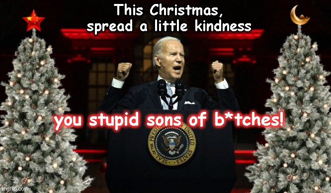 Joe Biden delivers his 2022 Christmas call for unity and kindess | This Christmas, spread a little kindness; you stupid sons of b*tches! | image tagged in joe biden,grumpy old man,democratic socialism,hypocrisy,biden fail,christmas | made w/ Imgflip meme maker
