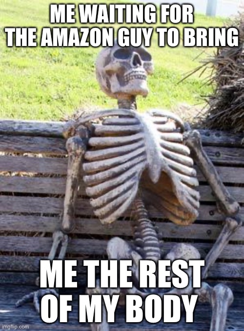 Waiting Skeleton | ME WAITING FOR THE AMAZON GUY TO BRING; ME THE REST OF MY BODY | image tagged in memes,waiting skeleton | made w/ Imgflip meme maker