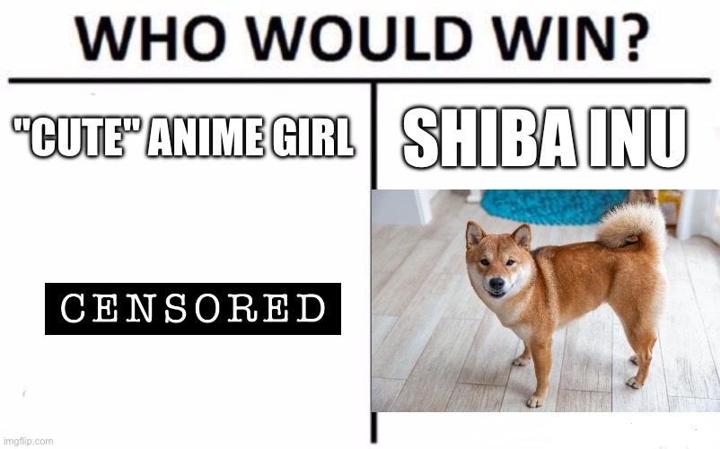 We all know which one is better | "CUTE" ANIME GIRL; SHIBA INU | image tagged in memes,who would win,shiba inu,cute,anime girl,ewww | made w/ Imgflip meme maker