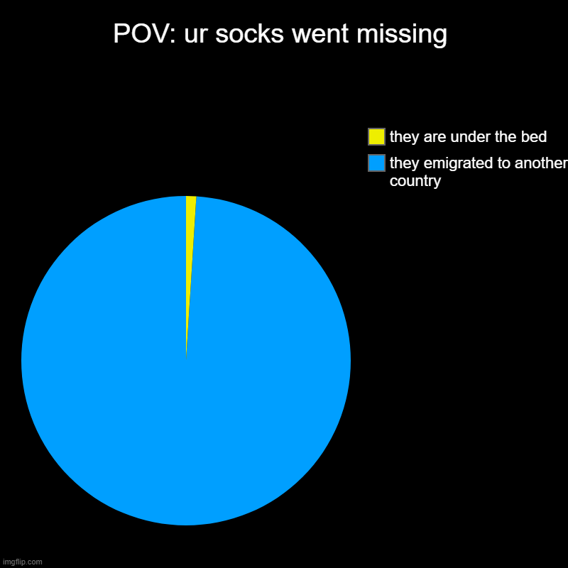 POV: ur socks went missing | POV: ur socks went missing | they emigrated to another country, they are under the bed | image tagged in charts,pie charts,relatable memes,relatable,socks,socks and sandals | made w/ Imgflip chart maker