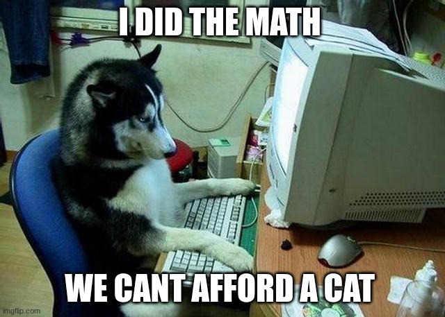 dog at desk | I DID THE MATH; WE CANT AFFORD A CAT | image tagged in dog at desk | made w/ Imgflip meme maker