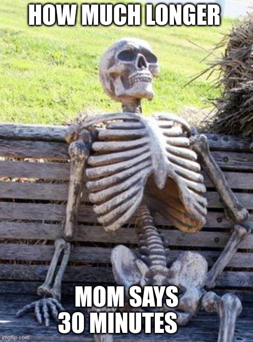 Waiting Skeleton | HOW MUCH LONGER; MOM SAYS 30 MINUTES | image tagged in memes,waiting skeleton | made w/ Imgflip meme maker