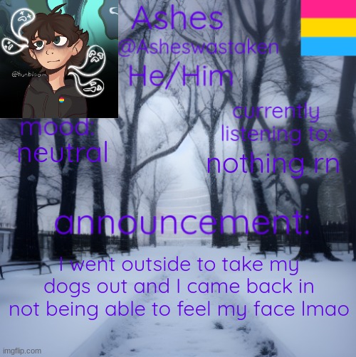 TN winters are something else | neutral; nothing rn; I went outside to take my dogs out and I came back in not being able to feel my face lmao | image tagged in ashes' template | made w/ Imgflip meme maker