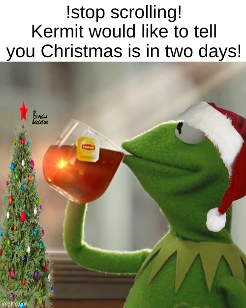 crismas | !stop scrolling!
Kermit would like to tell you Christmas is in two days! | image tagged in memes,but that's none of my business,kermit the frog | made w/ Imgflip meme maker