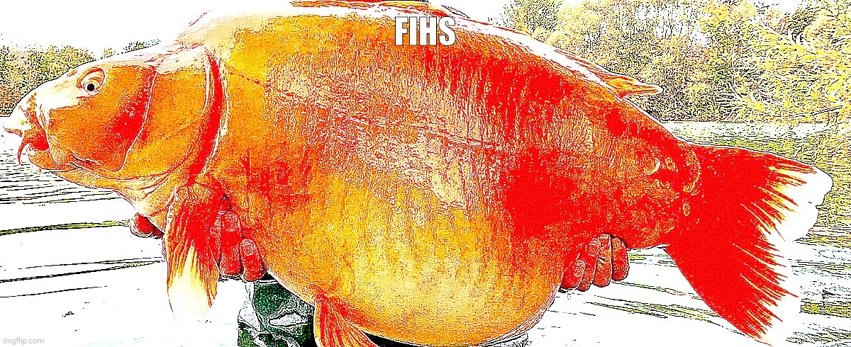 Fish of wisdom | FIHS | image tagged in fish of wisdom | made w/ Imgflip meme maker
