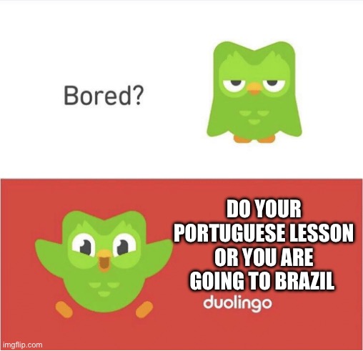 DUOLINGO BORED | DO YOUR PORTUGUESE LESSON OR YOU ARE GOING TO BRAZIL | image tagged in duolingo bored | made w/ Imgflip meme maker