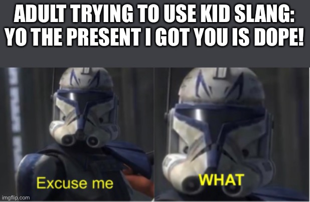 Excuse me? | ADULT TRYING TO USE KID SLANG:
YO THE PRESENT I GOT YOU IS DOPE! | image tagged in excuse me what | made w/ Imgflip meme maker