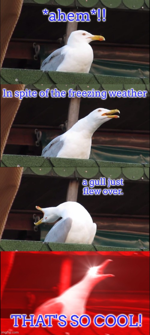 If I could fly, I wouldn't have to worry about all this ice. | *ahem*!! In spite of the freezing weather; a gull just flew over. THAT'S SO COOL! | image tagged in memes,inhaling seagull,cold weather,pun | made w/ Imgflip meme maker