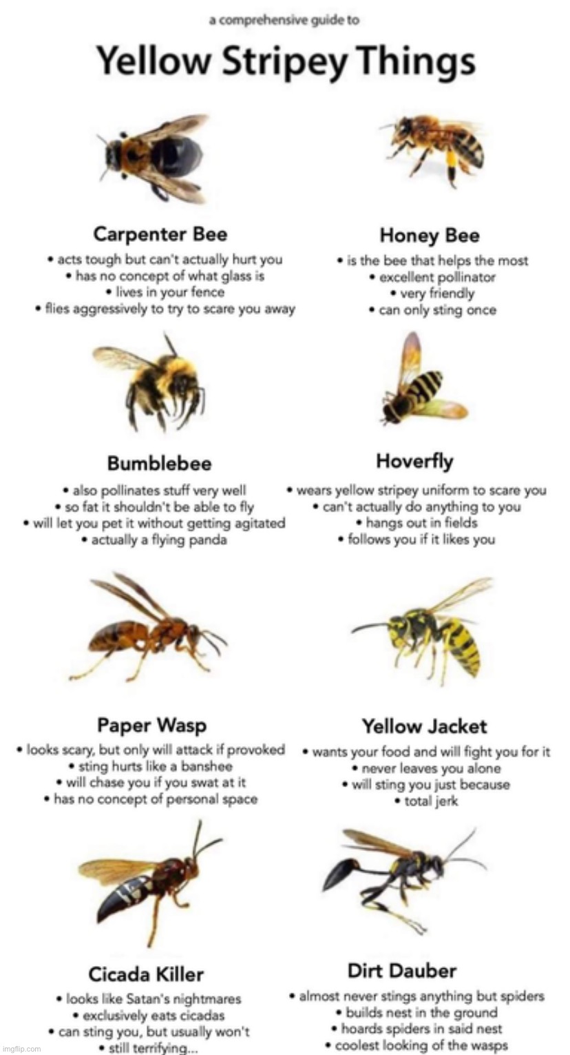 Yellow stripey things | made w/ Imgflip meme maker