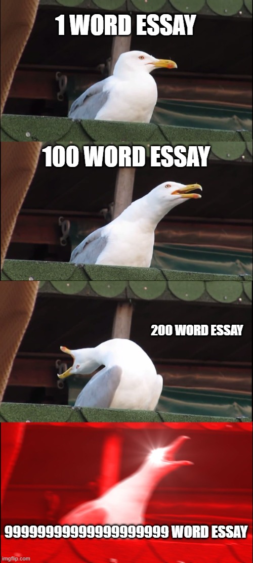 Inhaling Seagull | 1 WORD ESSAY; 100 WORD ESSAY; 200 WORD ESSAY; 99999999999999999999 WORD ESSAY | image tagged in memes,inhaling seagull | made w/ Imgflip meme maker