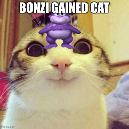 Smiling Cat | BONZI GAINED CAT | image tagged in memes,smiling cat,bonzi buddy | made w/ Imgflip meme maker