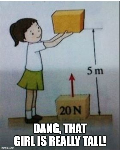 5 Meters in Feet is... | DANG, THAT GIRL IS REALLY TALL! | image tagged in you had one job | made w/ Imgflip meme maker