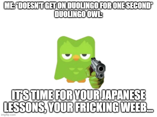 bruh | ME: *DOESN'T GET ON DUOLINGO FOR ONE SECOND*
DUOLINGO OWL:; IT'S TIME FOR YOUR JAPANESE LESSONS, YOUR FRICKING WEEB... | image tagged in funny memes | made w/ Imgflip meme maker